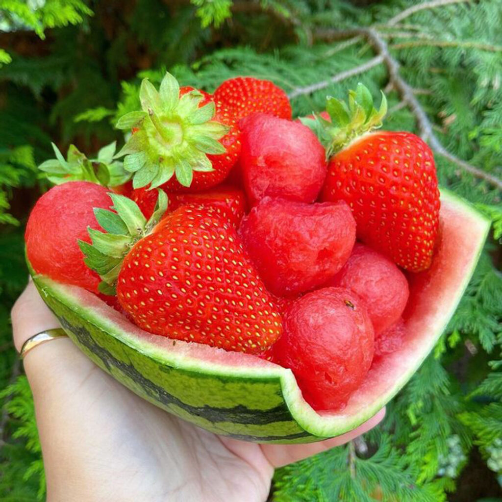 Watermelon Bowl