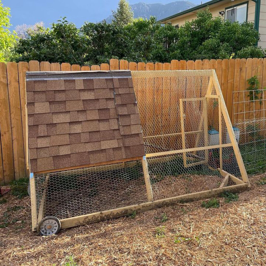 Chicken Coop