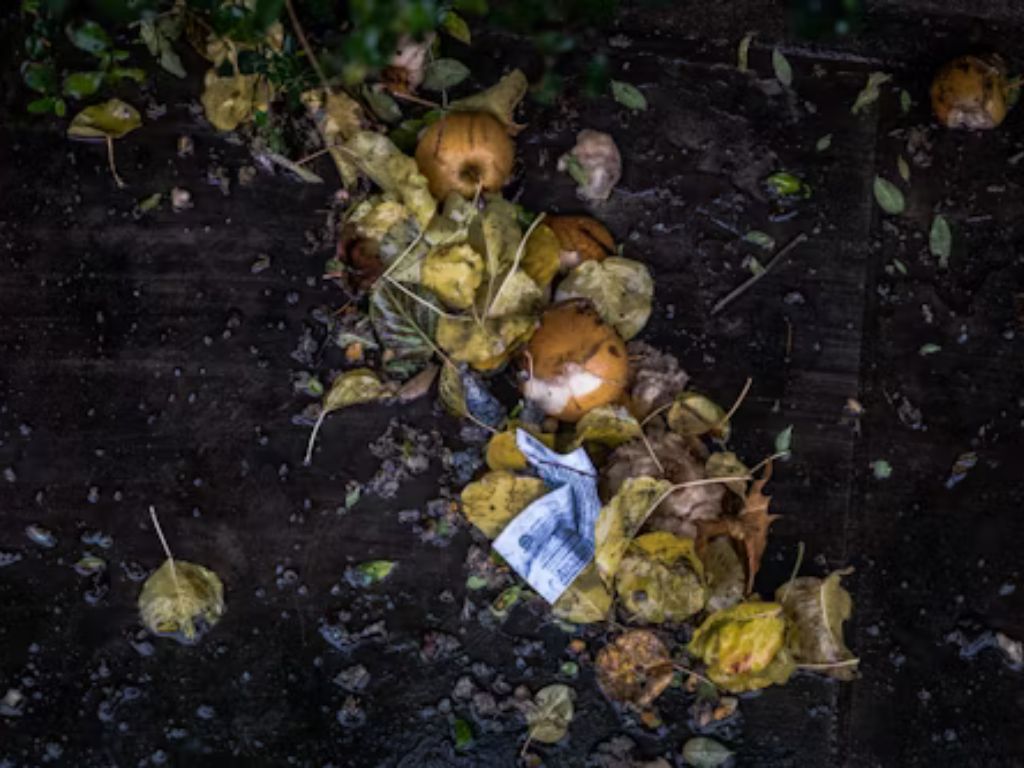 A compost heap with rotting vegetable matter