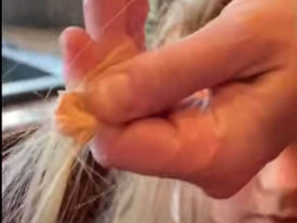 Gum stuck in a child's blonde hair