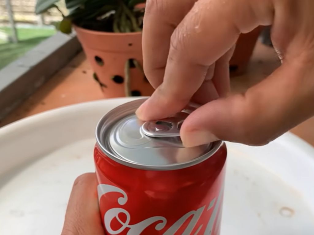 A can of Coca Cola being opened by a hand