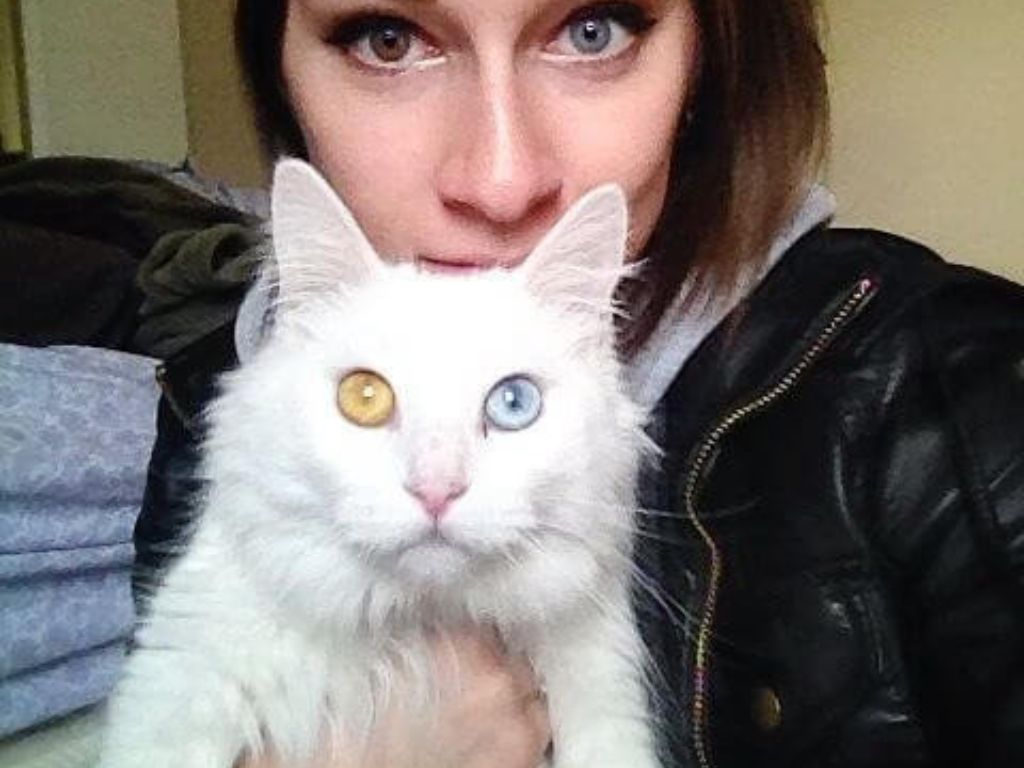 A woman with heterochromia holding a cat with heterochromia 