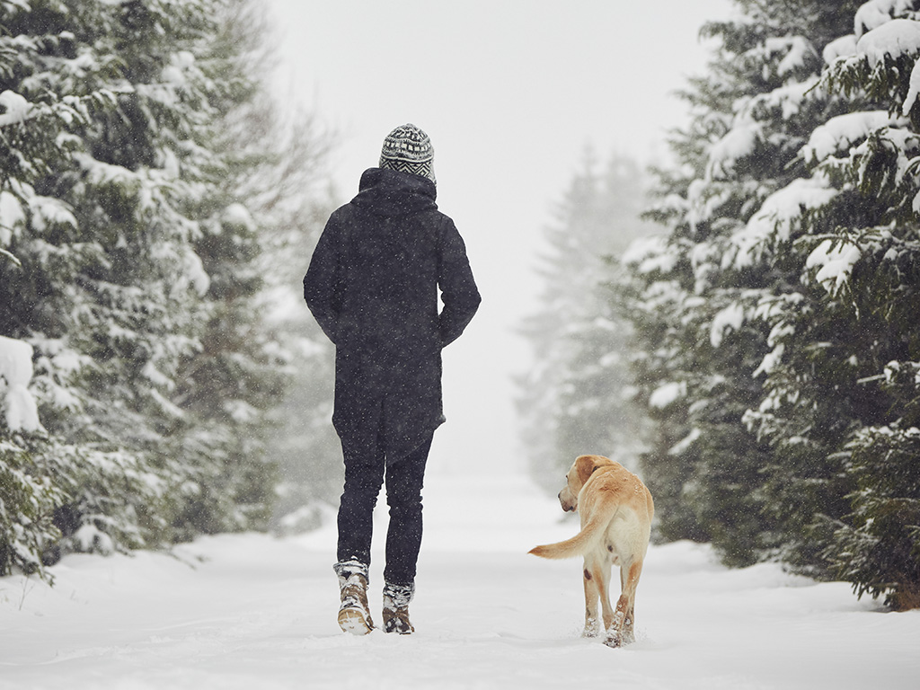 A man and his dog walking along a snowy street