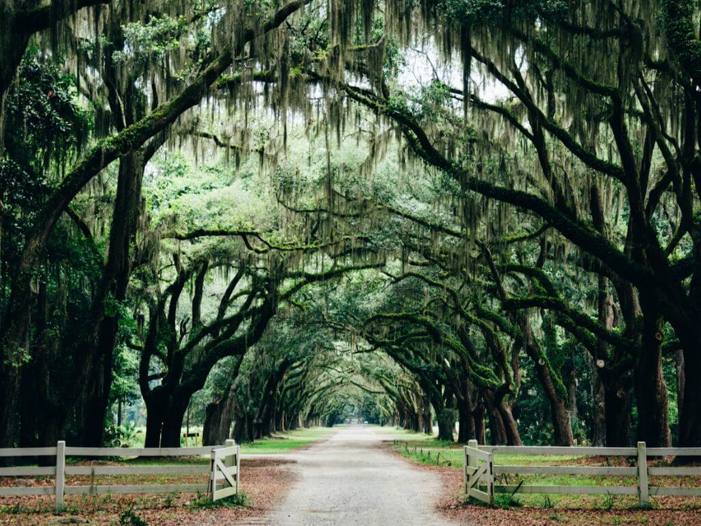 Savannah, Georgia, is a charming southern city