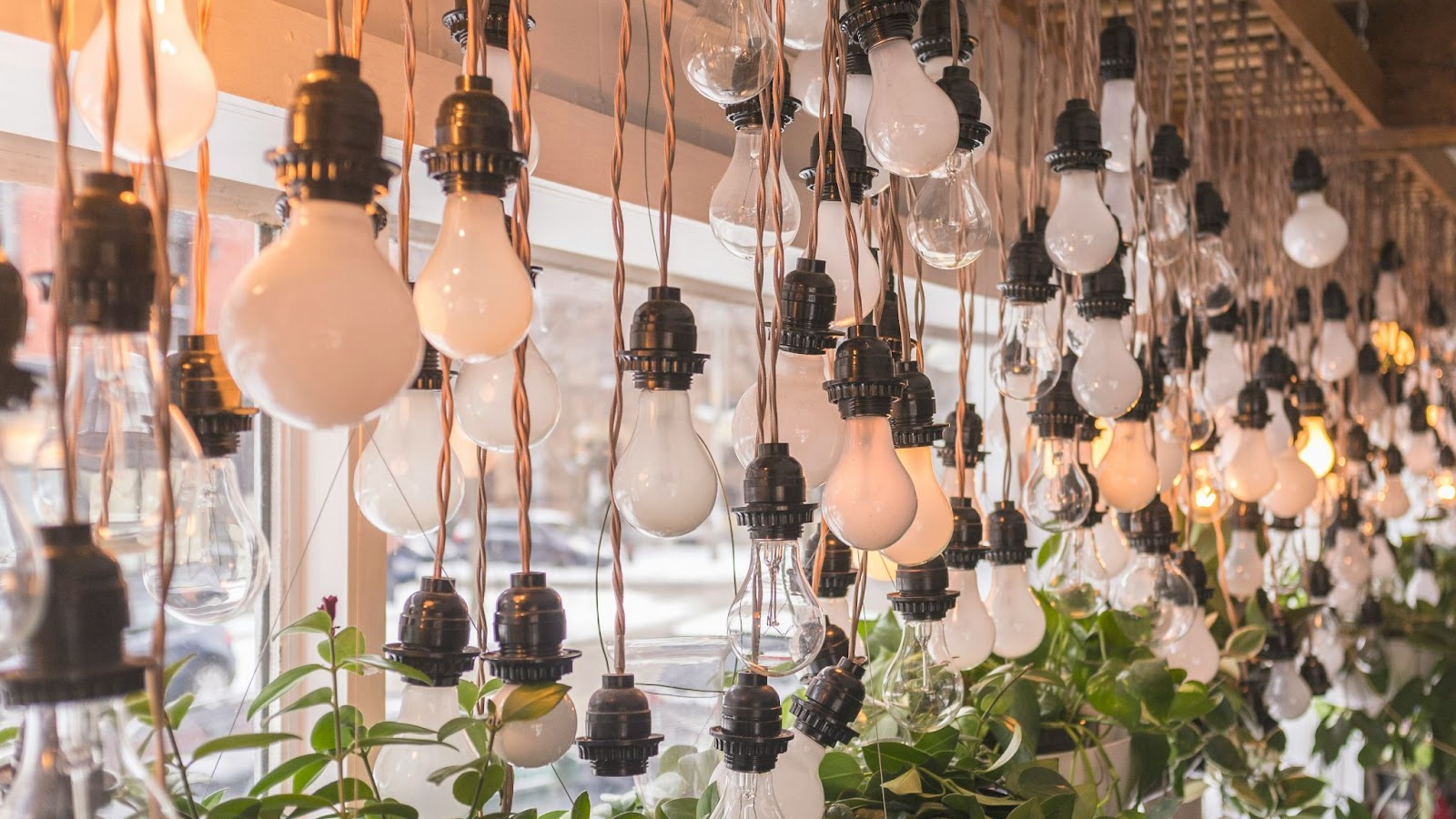 hanging light bulbs in a store's window