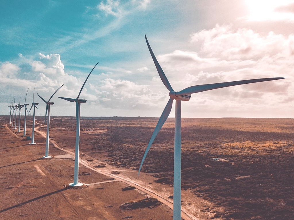 Several windmills in a field