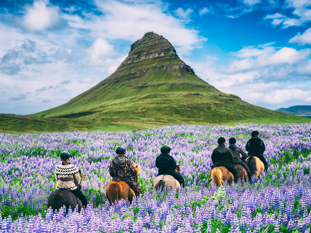 A group of people in Iceland riding horses through a field 