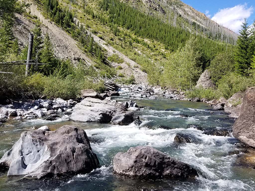 Northfork of Blackfoot River Montana
