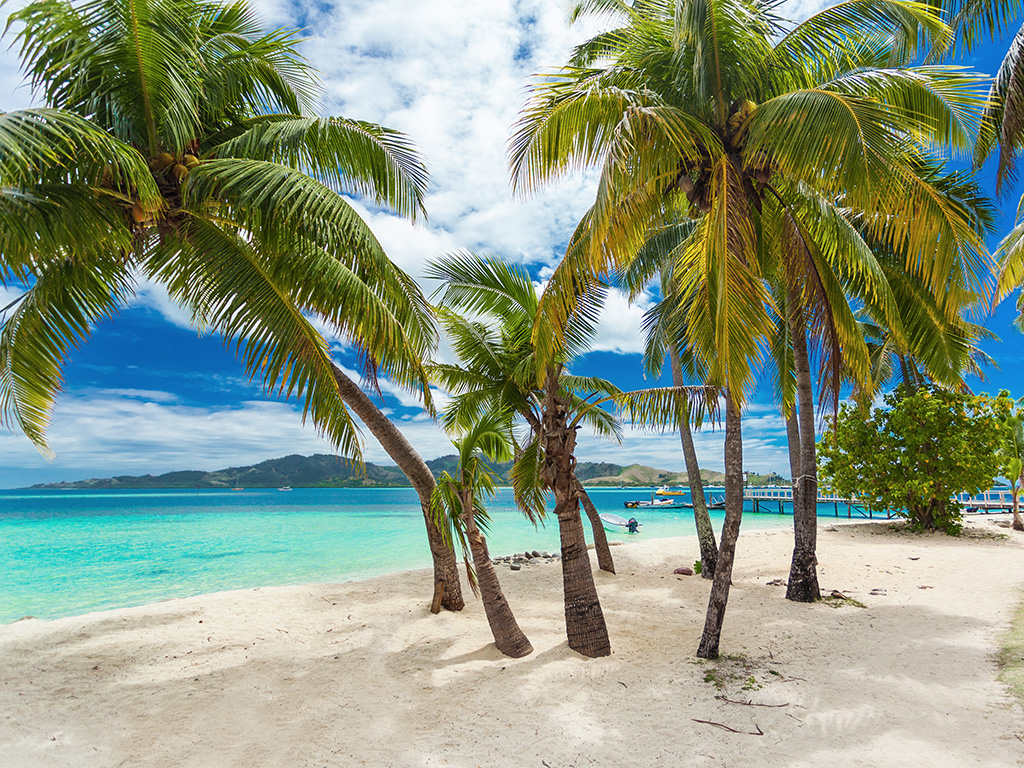 Tropical beach with coconut palm trees and vibrant lagoon on Fiji Islands