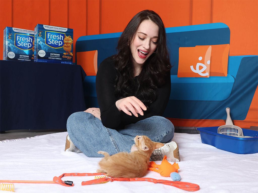 Fresh Step's Limited-Edition 'Garfield Movie' Boxes Trigger Litter Donations To Best Friends Animal Society