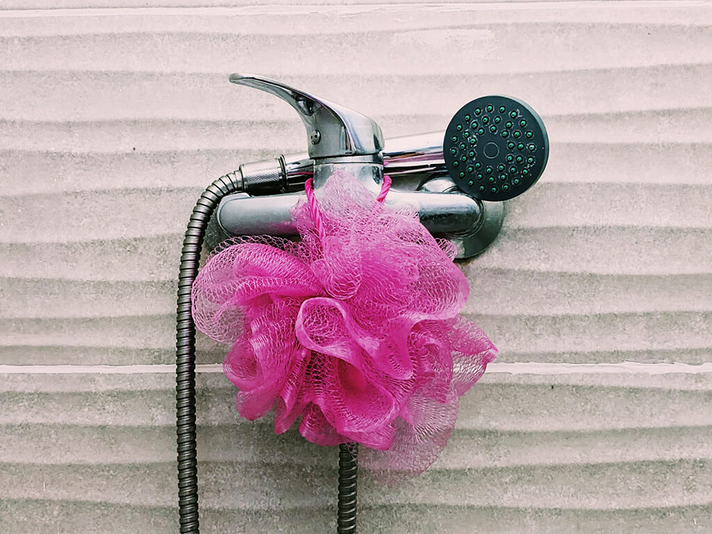 Shower head and loofah 