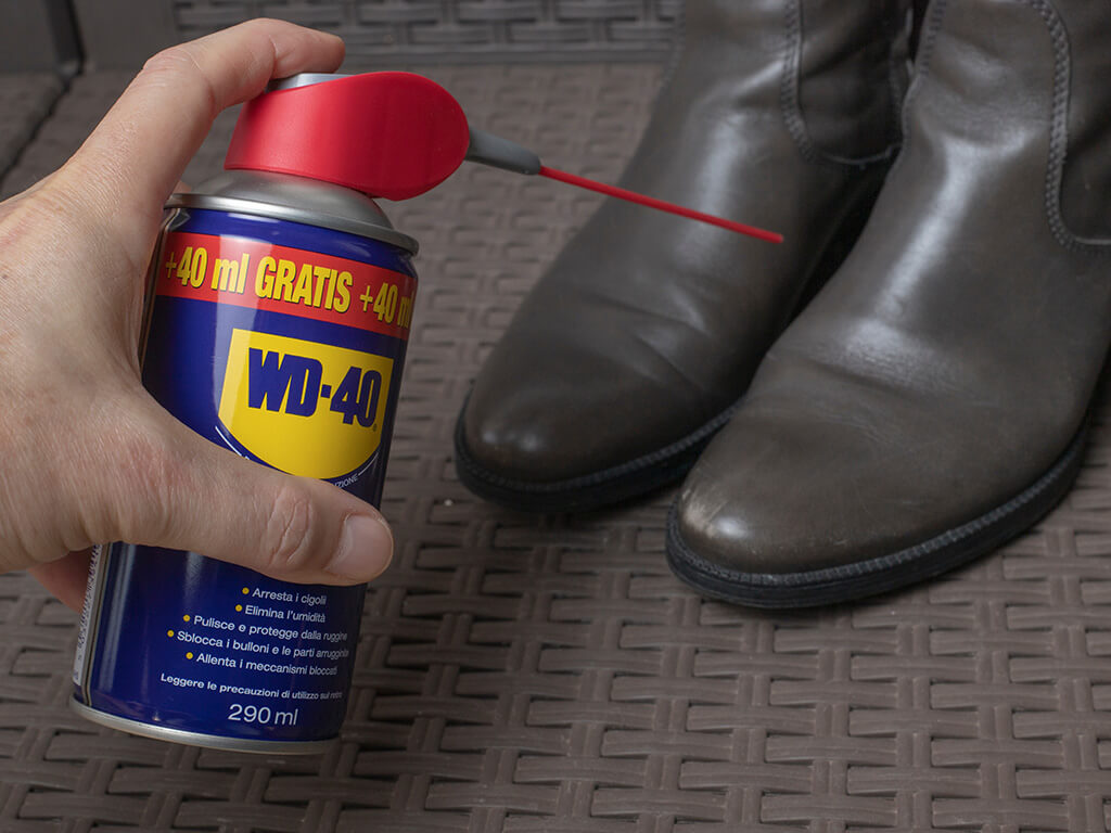 Leather shoes and a can 