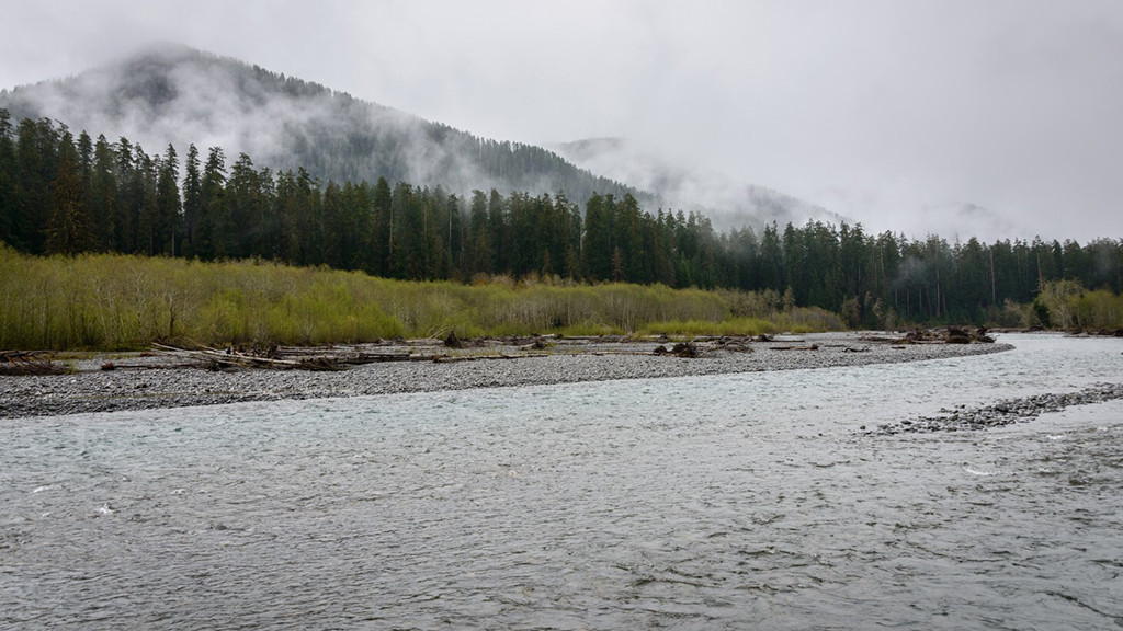 Pacific Northwest weather