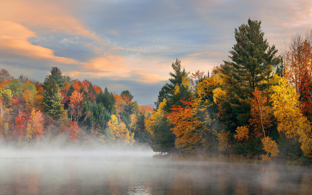 Fall Foliage and foggy weather