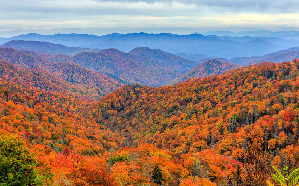 Autumn colors in Great Smoky Mountains National Park along the North Carolina-Tennessee border