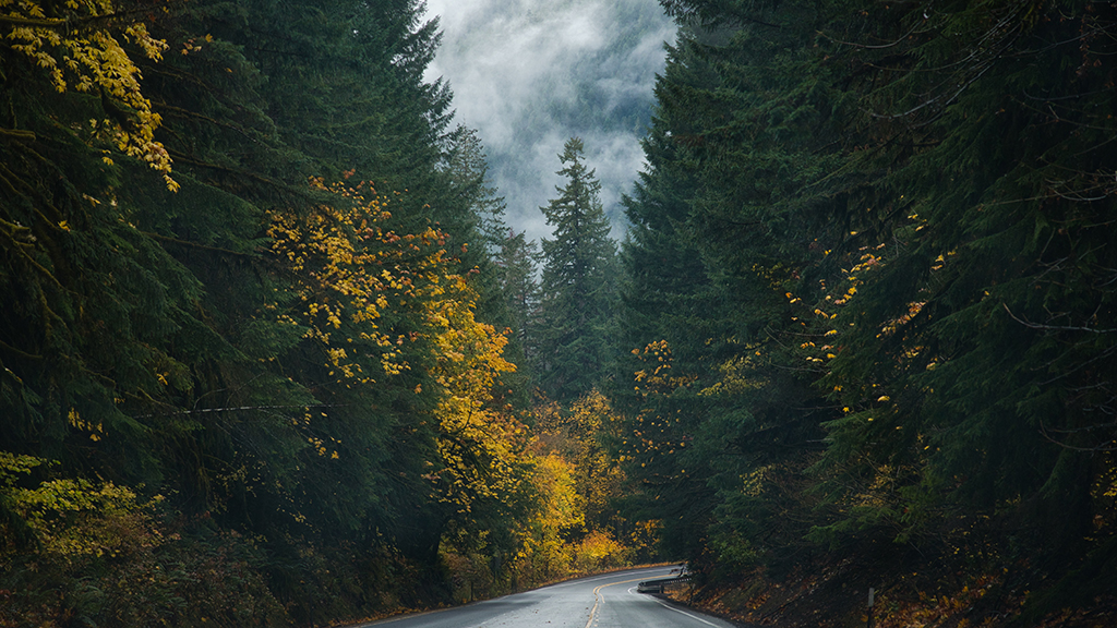 Roads in the Pacific Northwest