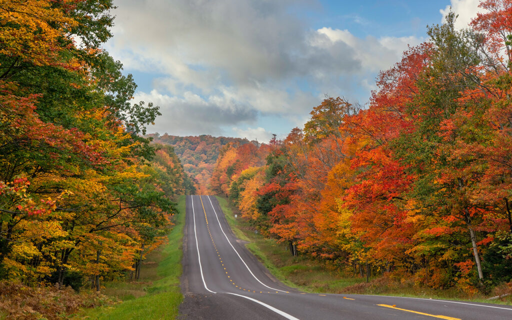 Fall Foliage