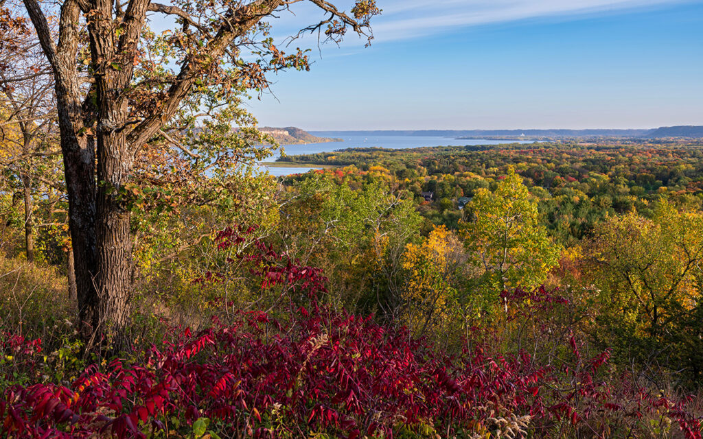 overlooking mississippi river valley from atop bluff in frontenac state park minnesota during autumn