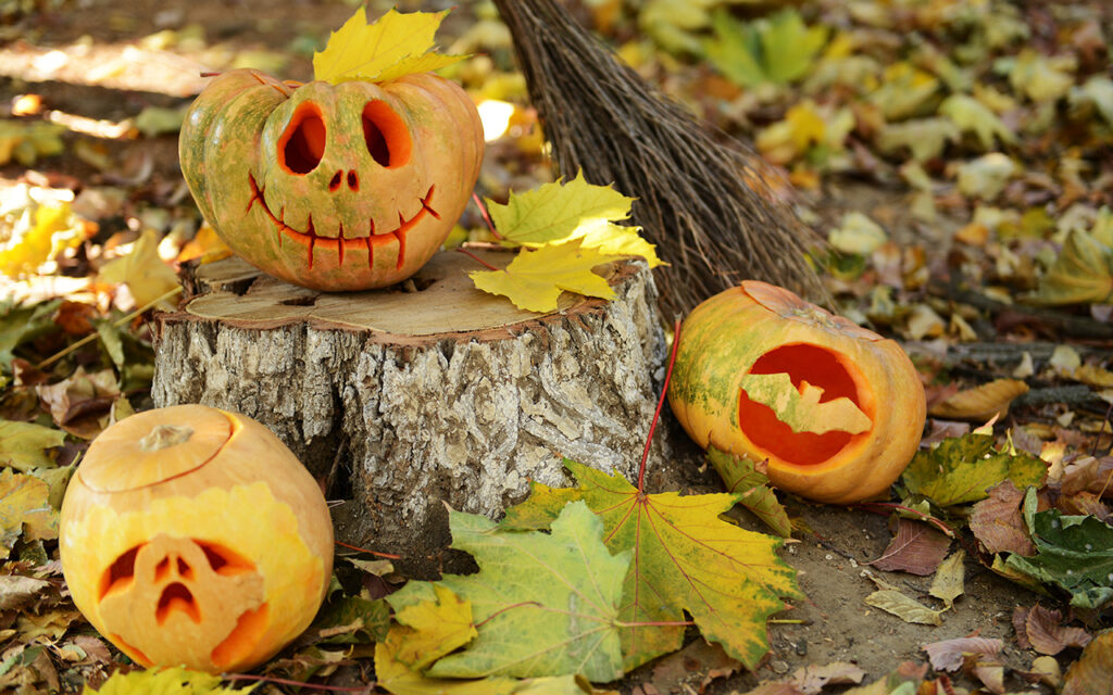 Carved pumpkin scene outdoors