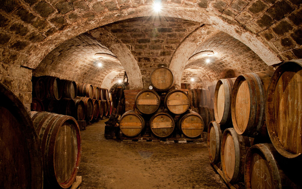 Cellar full of wine barrels 