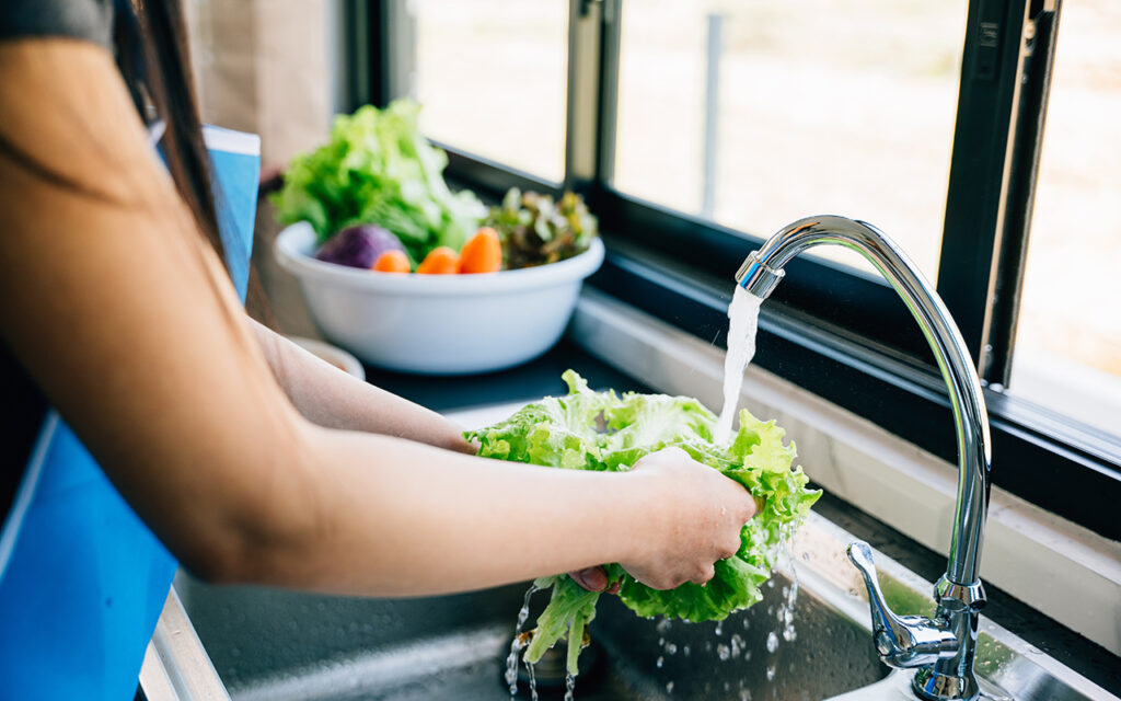 Washing lettuce in the sink