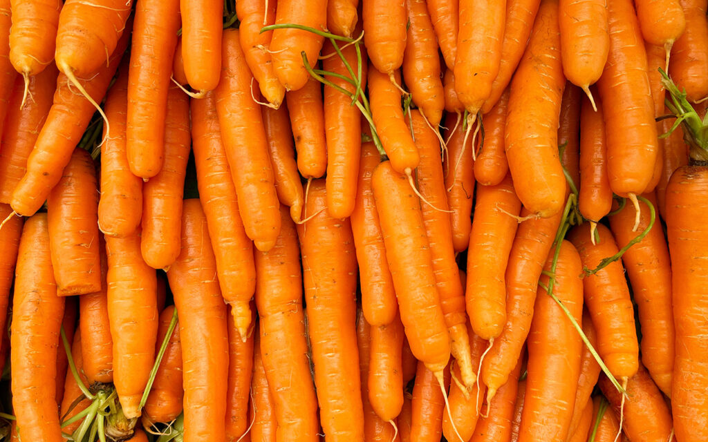 Piles of carrots