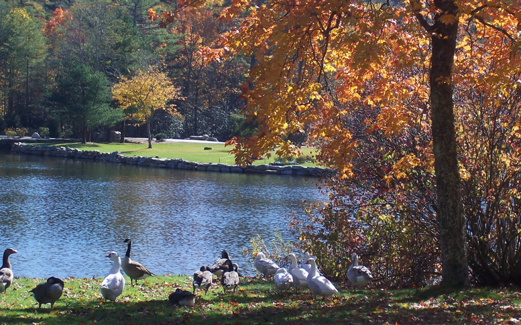 Harris Lake in Highlands during fall