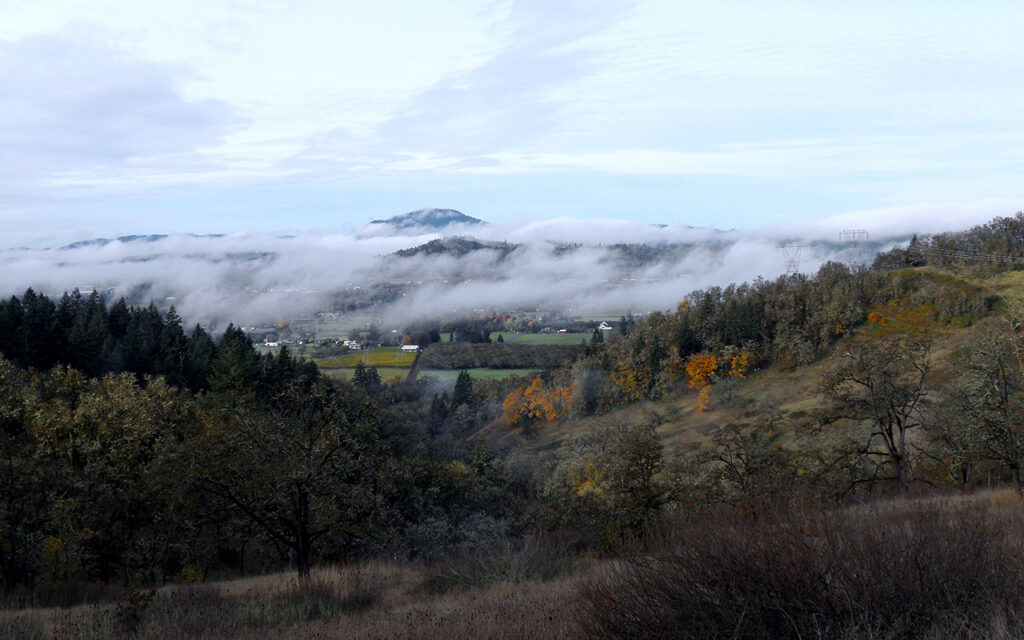 Light fog in the southern valley of Willamette Valley, Oregon