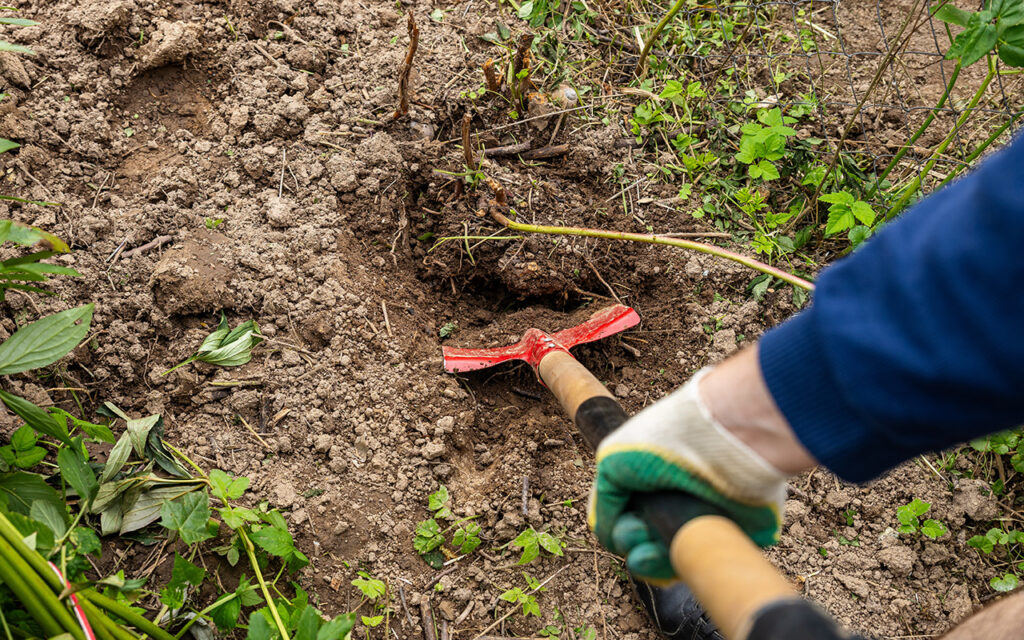 Using a shovel