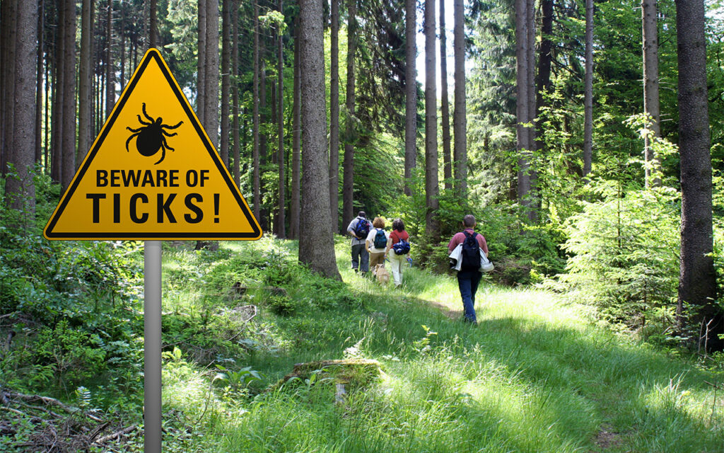 Beware of ticks sign outdoors