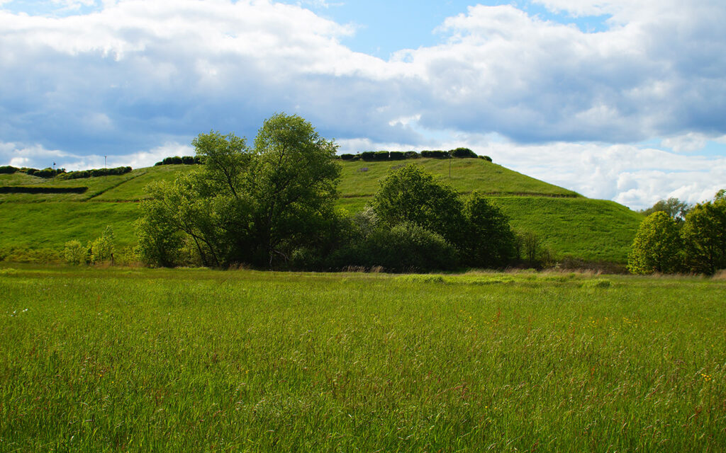 Greened industrial landfill site in Frankfurt-Heddernheim
