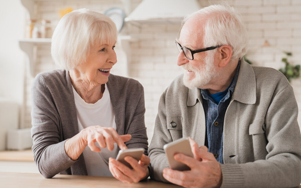 Elderly couple shopping online